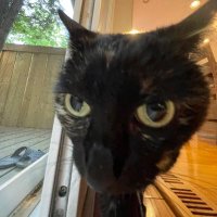 conski (@conskir6) 's Twitter Profile