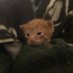 grumpy, and sleepy (@riverbugs46) Twitter profile photo grumpy, and sleepy (@riverbugs46) Twitter profile photo