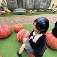 たむ4/12マルシィ武道館 (@hs_jm_1709) Twitter profile photo