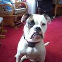 Art Coe - @artie184 - Twitter