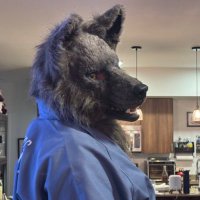 Inmate Greywolf57922 (@omega_greywolf) 's Twitter Profile Photo Inmate Greywolf57922 (@omega_greywolf) 's Twitter Profile Photo