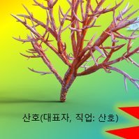 0Coral00oO's profile picture. 가라르산 :: 인외퍼충리메타몽 ::
