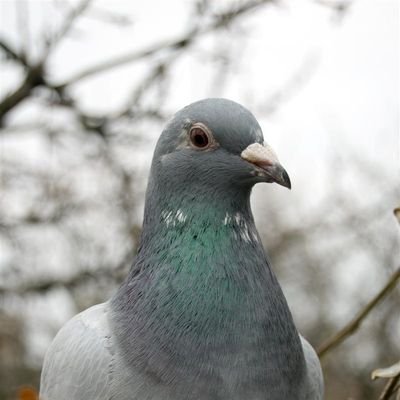 pijohn1223's profile picture. 왜저럼