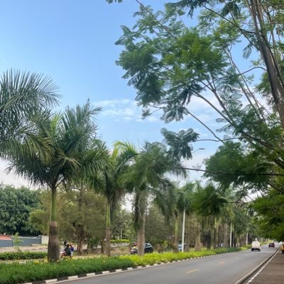 KAJORITI's profile picture. I'm girl I don't love I just suck, no love.