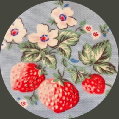 Strawberries_on's profile picture. 雑談垢｜4人子育てワンオペ生き残り😖5歳〜受験生｜国際結婚｜法人経営｜#トルコネタ｜旅15ヶ国｜在住歴🇹🇷🇳🇿｜海外不動産投資｜#Jeep｜絶景動植物♡｜🔰1馬力株3年NVDA WEBL SOXL TECL AVGO OKLO FANG+エクサETH｜レスキューダイバー｜目標2.5億FIRE世界一周🚢🤪