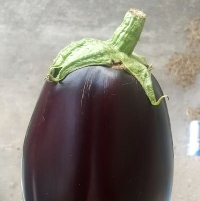 linblox's profile picture. It's better you don't know