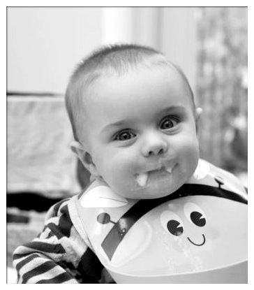 I have a business in Brighton running weaning workshops to help parents move their babies on from milk to solids