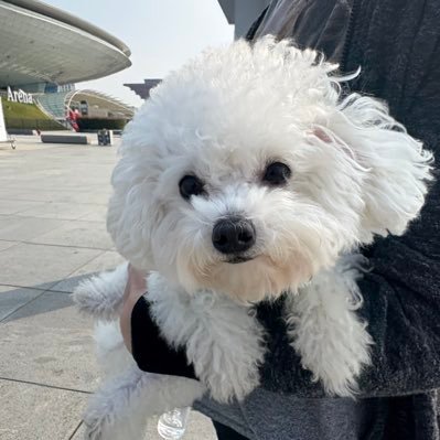 ttbehappy_'s profile picture. 