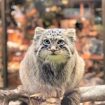 たいがさんのプロフィール画像