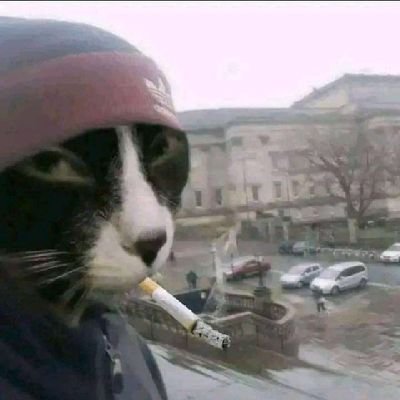 SDurrohman54165's profile picture. 