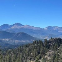 Gavin Olsen (@gooolsi) 's Twitter Profile
