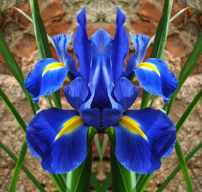 amacarreno's profile picture. 