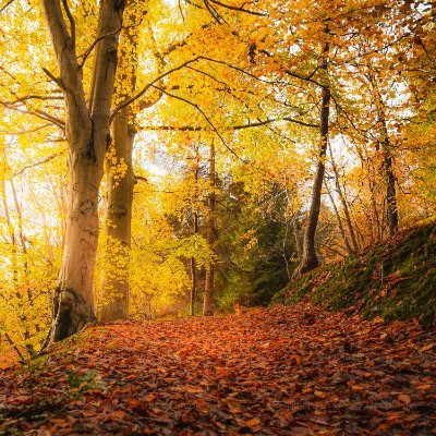 ray71689's profile picture. 