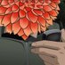 Blooms (@bloomser1) Twitter profile photo Blooms (@bloomser1) Twitter profile photo