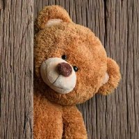 Ted🐻 (@annointd) 's Twitter Profile