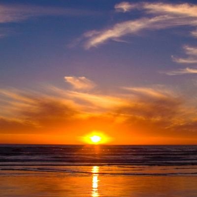 junjun01300's profile picture. 