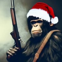 Chimp of the North (@cryptochimpanz) 's Twitter Profile Photo Chimp of the North (@cryptochimpanz) 's Twitter Profile Photo