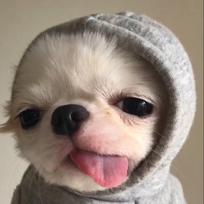 nattagkan's profile picture. ♡