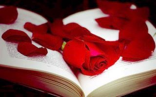 hajestrella's profile picture. jeune femme qui adore la lecture !!
قد اخط كلمات يفهمها البعض و اخرون لا , يكفي انها قد تكون متنفسا لي