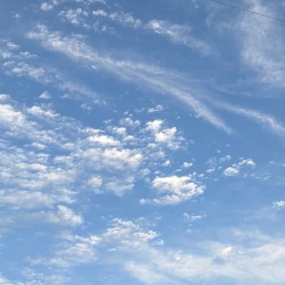 chii__tvxq's profile picture. 