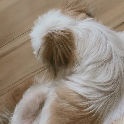 은 Profile