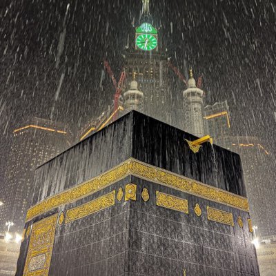 bdllh2388132's profile picture. 