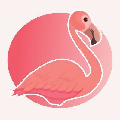 FlamiingoXsol's profile picture. Flamingo on Solana