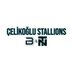 Çelikoğlu Stallions (@celikoglustllns) Twitter profile photo Çelikoğlu Stallions (@celikoglustllns) Twitter profile photo