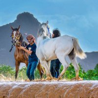 ‏يـــــاآآمي ❀ (@y__amii) 's Twitter Profile Photo