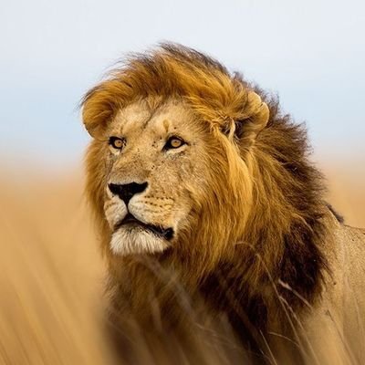 BransonDepe's profile picture. Beyond the limits