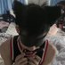 十八般武艺男(互推 (@shibalaoshi) Twitter profile photo 十八般武艺男(互推 (@shibalaoshi) Twitter profile photo