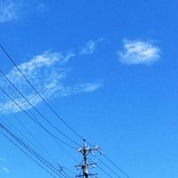yuco🍀🐞 (@yukiccy462) 's Twitter Profile