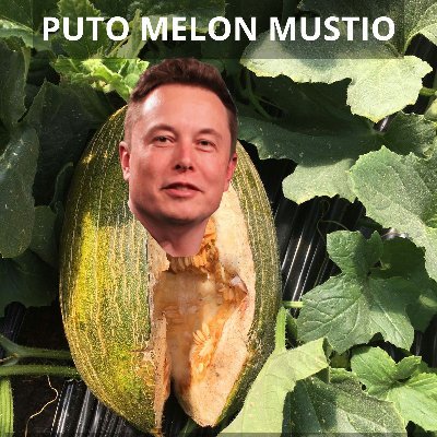 @parpalloto.bsky.socialさんのプロフィール画像