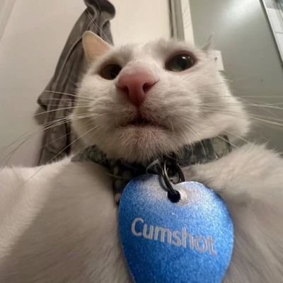 Kruidvat69's profile picture. 