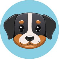 SENNI (@senni_ch) 's Twitter Profile