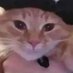 Cuulwipee (@cuulwipee) Twitter profile photo Cuulwipee (@cuulwipee) Twitter profile photo