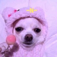 นี่มะยมไง(ꈍᴗꈍ)🍼 (@nimaymngi) 's Twitter Profile