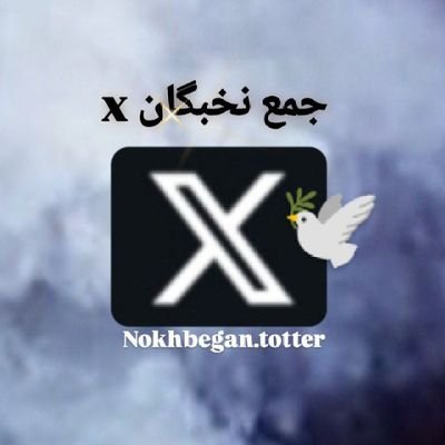 اکانت نخبگان X فقط برای حمایت از توییت ها ایجاد شده.
توهین =ریپورت
ادمین این اکانت مدیر گروه
لینک گروه حمایتی توییتر در تلگرام
https://t.co/KWbzxIXpdv