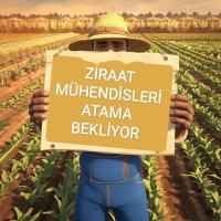 ZirMühOsman (@osman2zm) 's Twitter Profile