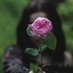 Sanem Ünal🌺 (@sanmnlll06) Twitter profile photo Sanem Ünal🌺 (@sanmnlll06) Twitter profile photo