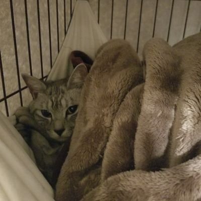 @atamaitai_ra_yu
サブ垢
本垢が成人のヤツ見れないから見る用
少し病み垢
誰かわからないやつ承認しません。最近病みツイ酷いので人は選びます