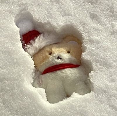 Runrikuku's profile picture. Hooooooooooshi