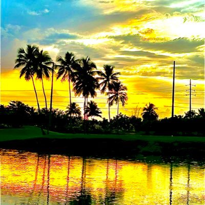 Wind8383's profile picture. 