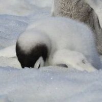 먐뮹먐 (@timos_g) 's Twitter Profile