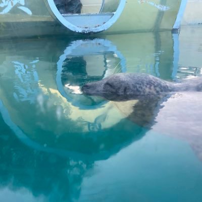 nakka_1017's profile picture. 東・西・東・西←new