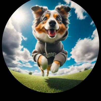 jingxiofng17187's profile picture. 