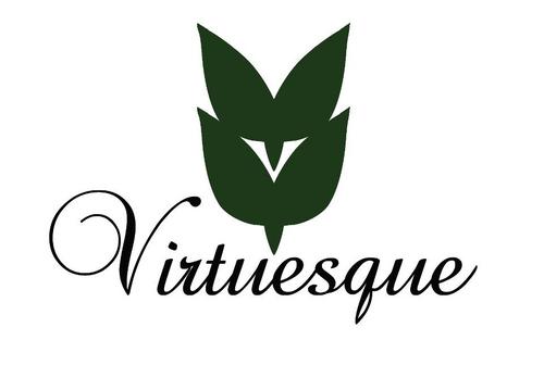 Virtuesque is for women, and children who are encompassed by or have been distressed by the sex industry