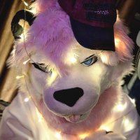I'm not a cat😾 (@razoiscat) 's Twitter Profile Photo I'm not a cat😾 (@razoiscat) 's Twitter Profile Photo