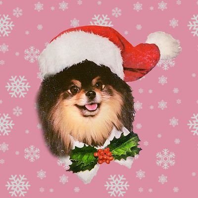 Raikantopenin_'s profile picture. °        🇦🇷
       ° • 𝙻𝚘𝚟𝚎 𝙱𝚃𝚂 ! •°      ❤︎ 𝓑𝓮𝓼𝓽 𝓶𝓸𝓶𝓮𝓷𝓽 𝓲𝓼 𝔂𝓮𝓽 𝓽𝓸 𝓬𝓸𝓶𝓮  
     °•☆•°☆°•☆•°