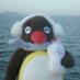 irem (@innglce) Twitter profile photo irem (@innglce) Twitter profile photo